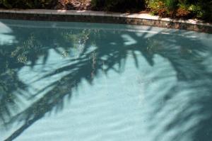 969793_10201869025309989_1422232783_n